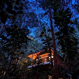 3* Resort Coffee Acres
