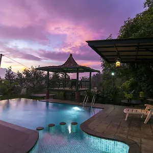 4* Resort Olives The Boutique