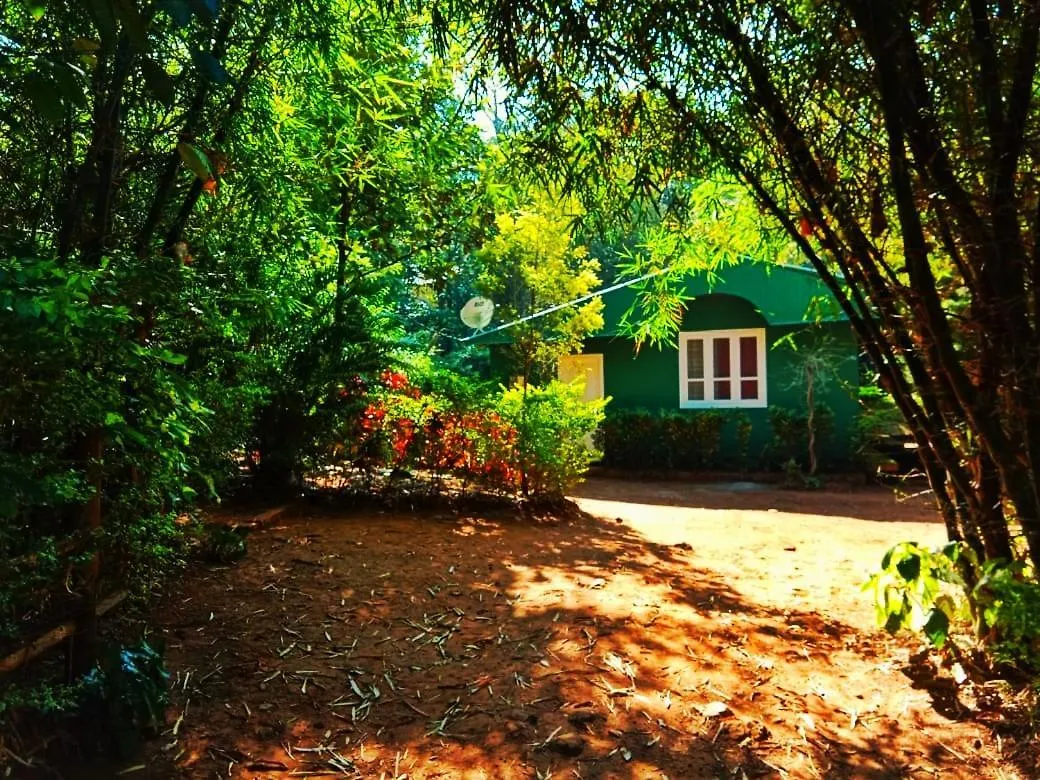 Silent Hill Farm Stay Kalpetta
