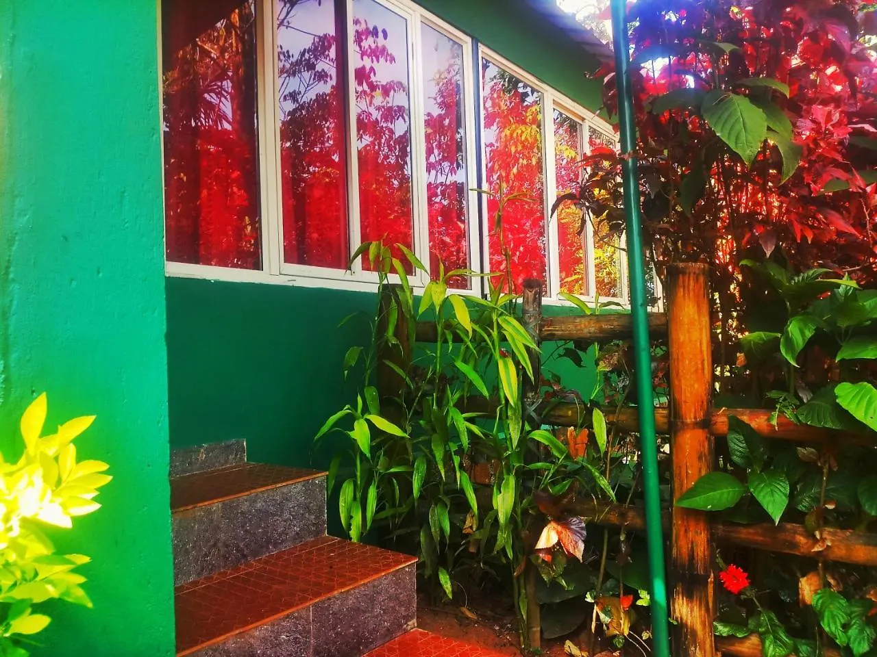 Silent Hill Farm Stay Kalpetta India